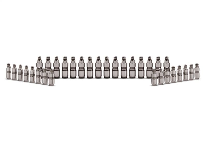 FR Lash Adjusters - Photo - Unmounted