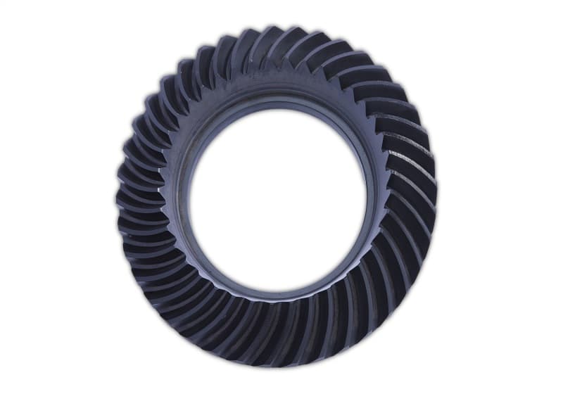 FR Ring and Pinion Sets - Photo - Unmounted