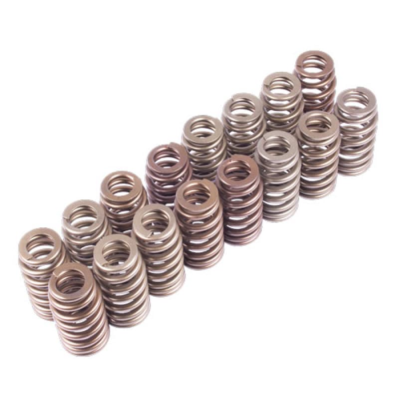 FR Valve Spring Kits - User 1