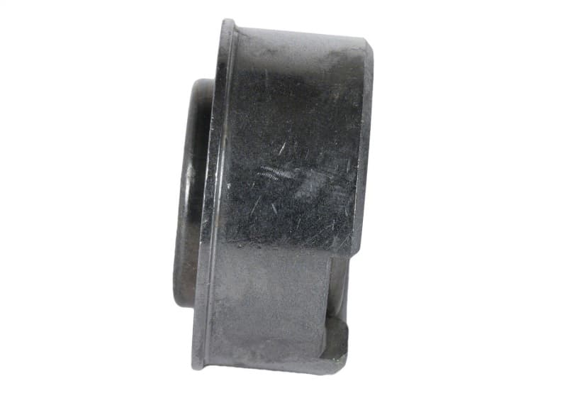 FR Pilot Bearings - Photo - Unmounted