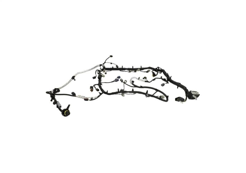 FR Harnesses - Photo - Unmounted