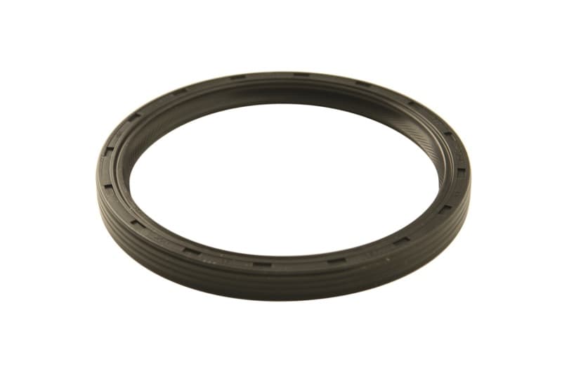 FR Rear Main Seals - Photo - Primary