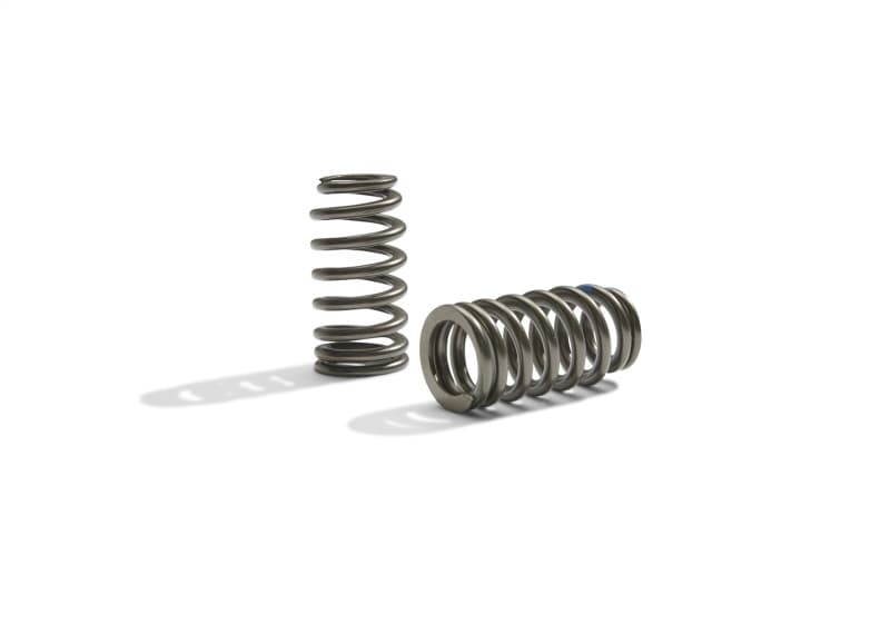 FR Valve Spring Kits - Photo - Unmounted