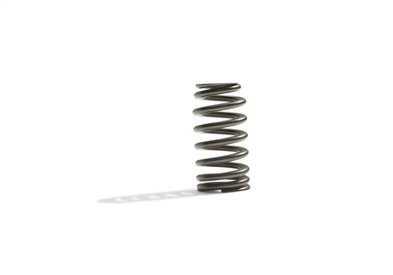 FR Valve Spring Kits - Photo - Unmounted