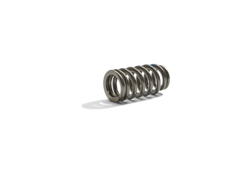 FR Valve Spring Kits - Photo - Unmounted