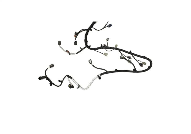 FR Harnesses - Photo - Unmounted
