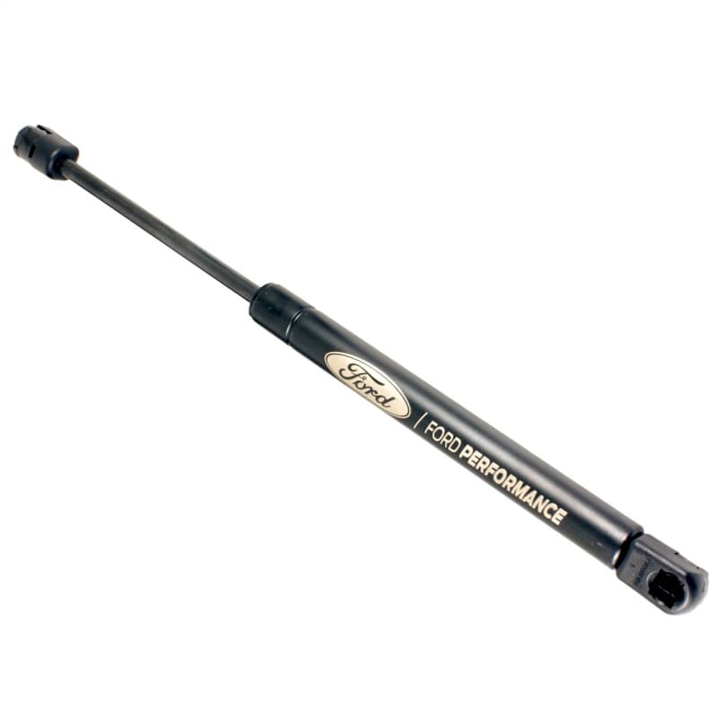 FR Hood Lift Kits - Photo - Unmounted