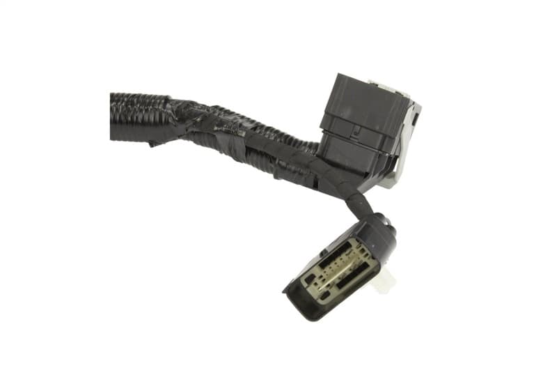 FR Harnesses - Photo - Unmounted