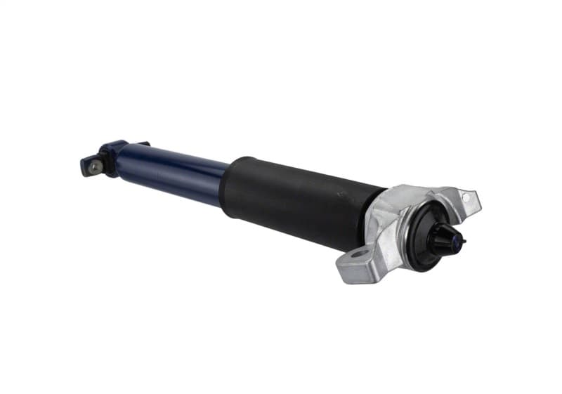FR Shocks - Photo - Unmounted