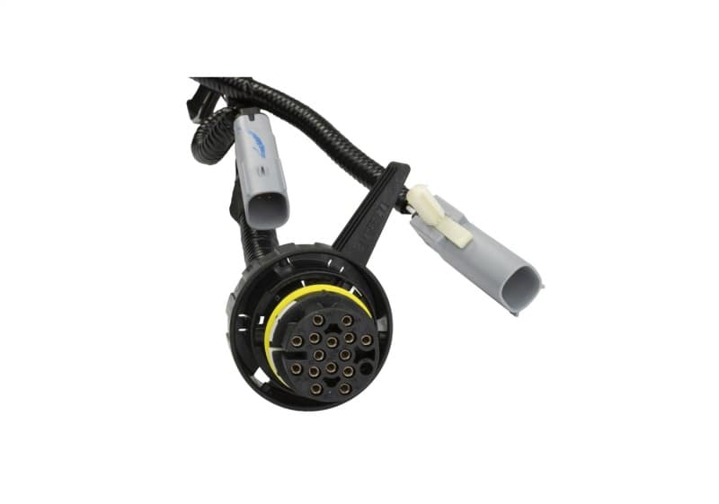 FR Harnesses - Photo - Unmounted
