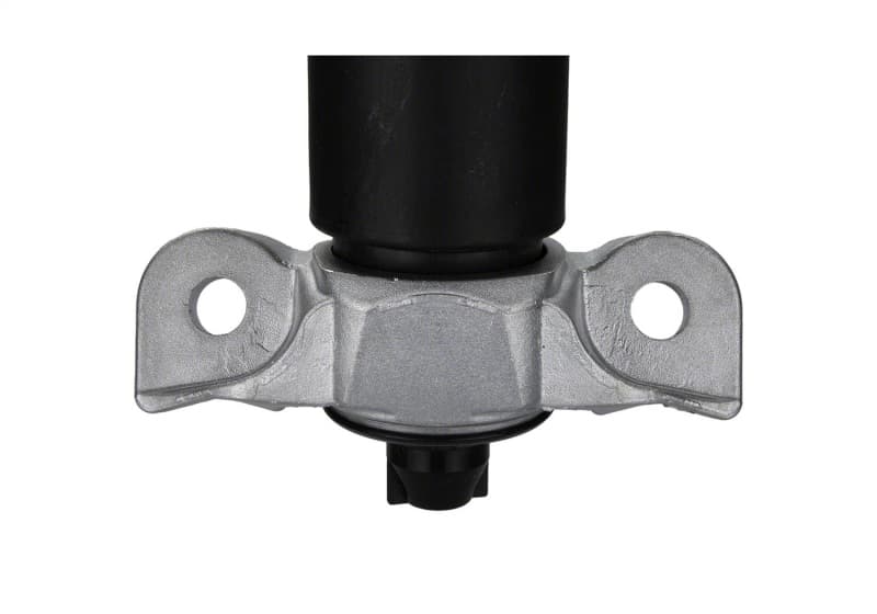 FR Shocks - Photo - Unmounted