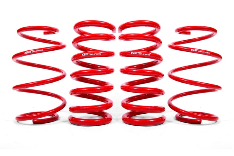 BMR Lowering Springs