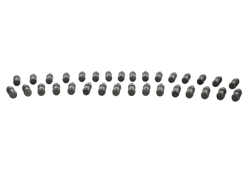 FR Lash Adjusters - Photo - Unmounted