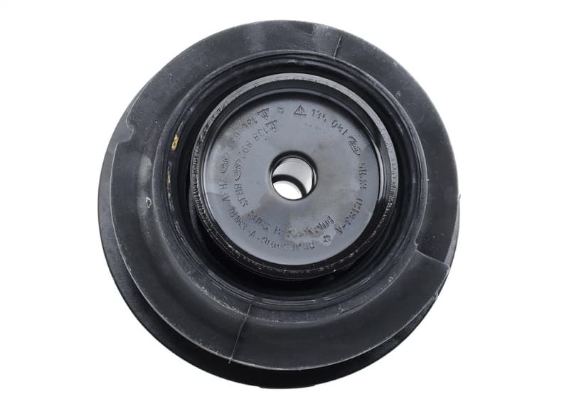 FR Shocks - Photo - Unmounted