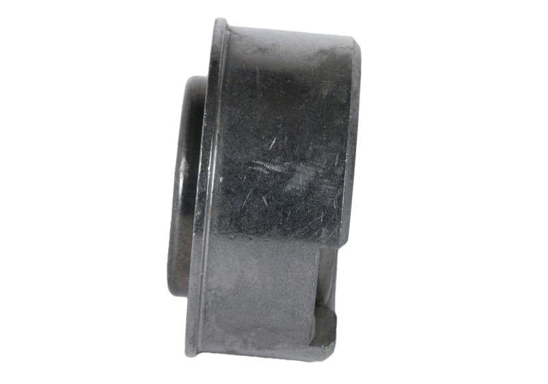FR Pilot Bearings - Photo - Unmounted
