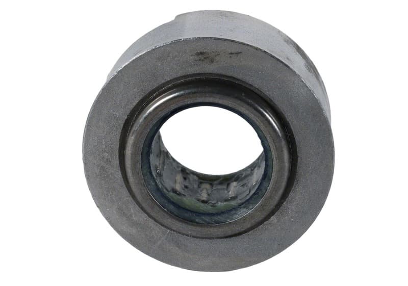 FR Pilot Bearings - Photo - Unmounted