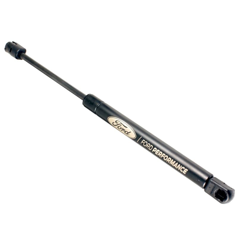 FR Hood Lift Kits - Photo - Unmounted