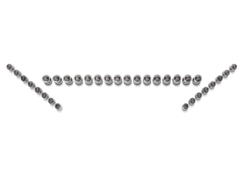 FR Lash Adjusters - Photo - Unmounted