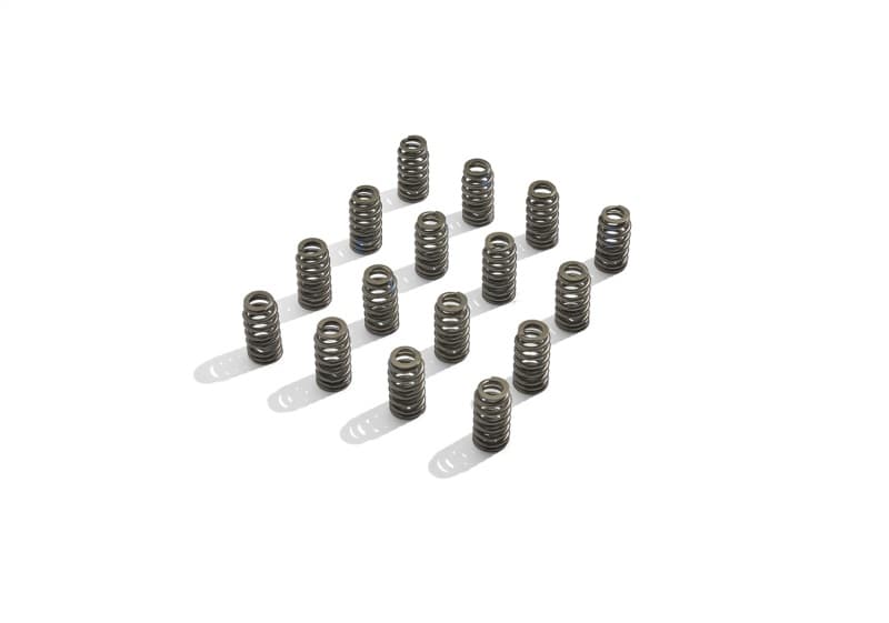 FR Valve Spring Kits - Photo - Unmounted