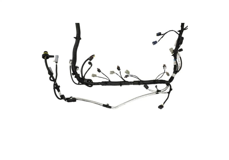 FR Harnesses - Photo - Unmounted