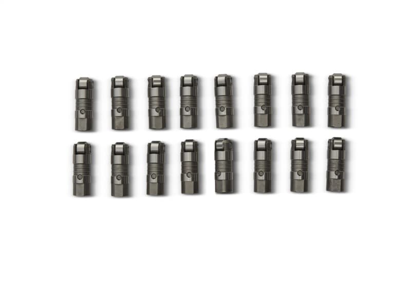 FR Lifters - Photo - Unmounted
