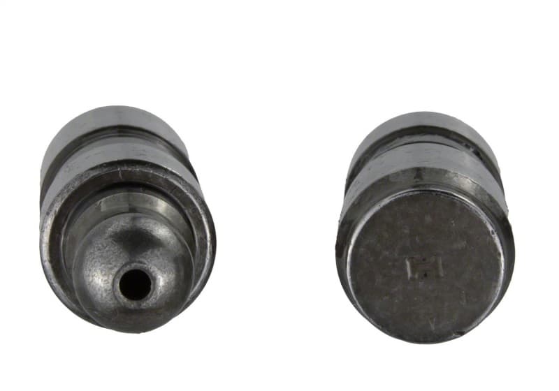 FR Lash Adjusters - Photo - Unmounted
